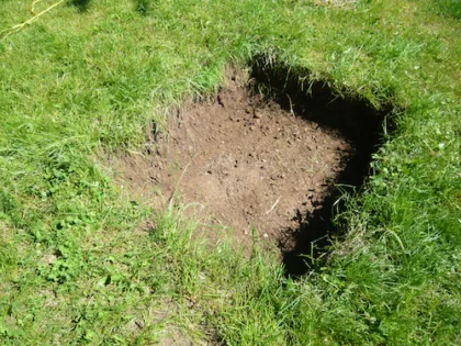 Frohussicht ganzblum5